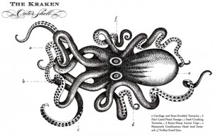 KRAKEN Outer