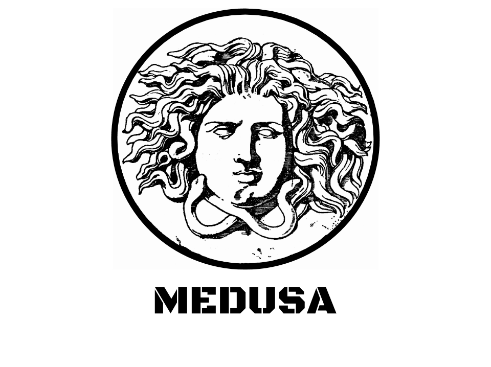 Medusa Logo (1)